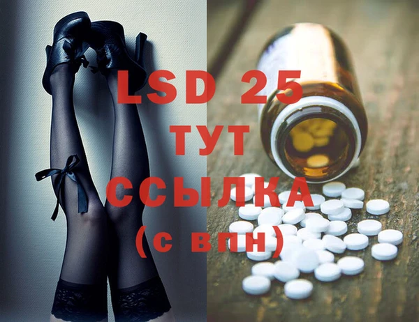 ПСИЛОЦИБИНОВЫЕ ГРИБЫ Ветлуга