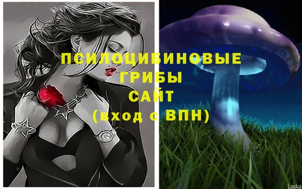 ПСИЛОЦИБИНОВЫЕ ГРИБЫ Видное
