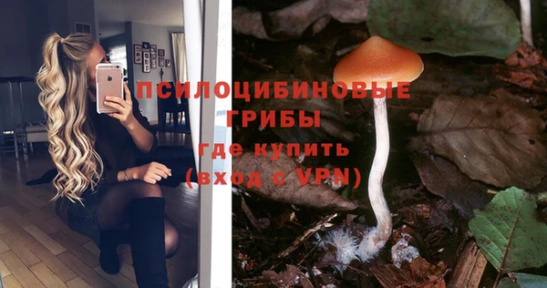 ПСИЛОЦИБИНОВЫЕ ГРИБЫ Ветлуга