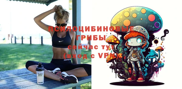 ПСИЛОЦИБИНОВЫЕ ГРИБЫ Видное